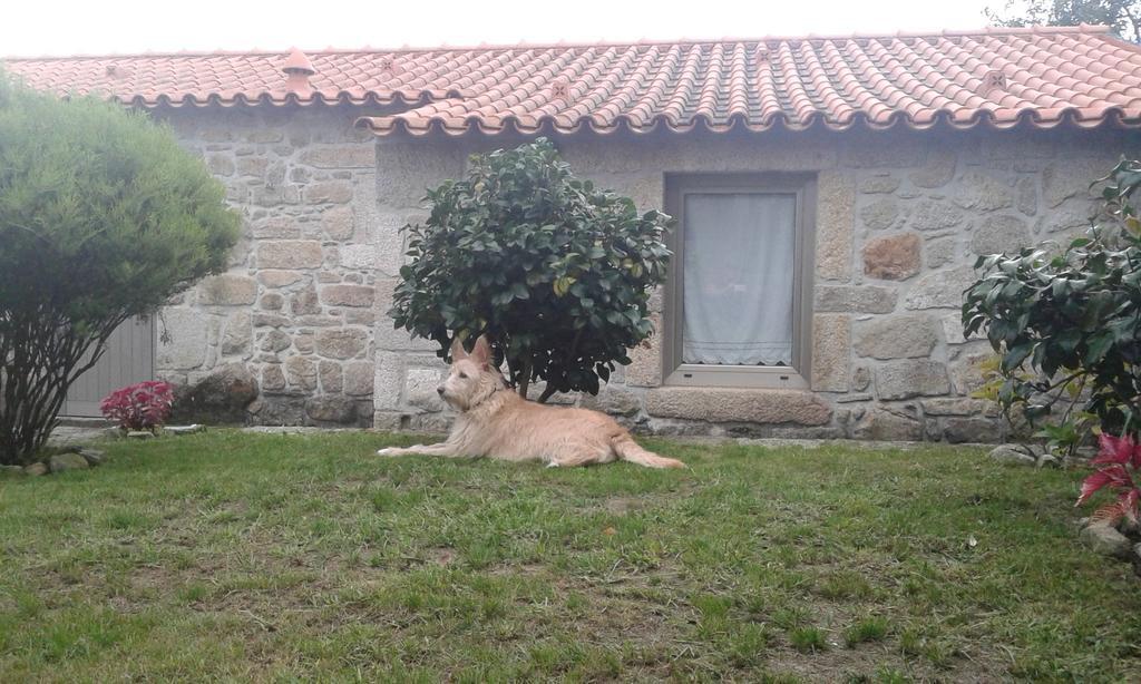 Casa Maria Da Assuncao Villa Vila Nova de Cerveira Szoba fotó